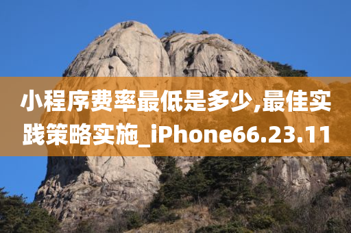 小程序费率最低是多少,最佳实践策略实施_iPhone66.23.11