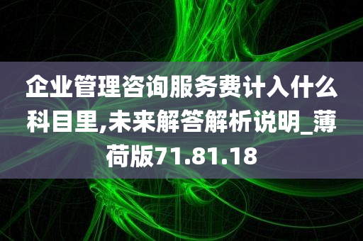 企业管理咨询服务费计入什么科目里,未来解答解析说明_薄荷版71.81.18