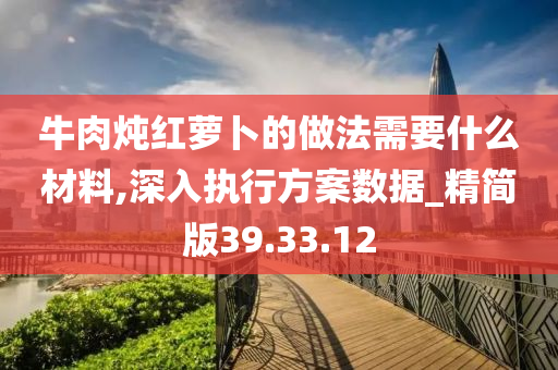 牛肉炖红萝卜的做法需要什么材料,深入执行方案数据_精简版39.33.12