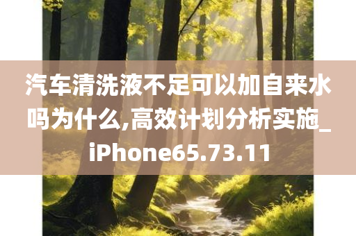 汽车清洗液不足可以加自来水吗为什么,高效计划分析实施_iPhone65.73.11