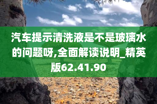 汽车提示清洗液是不是玻璃水的问题呀,全面解读说明_精英版62.41.90