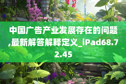 中国广告产业发展存在的问题,最新解答解释定义_iPad68.72.45