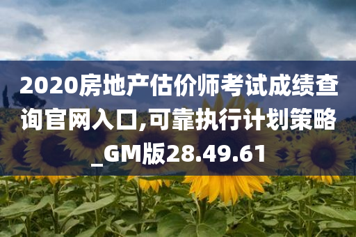 2020房地产估价师考试成绩查询官网入口,可靠执行计划策略_GM版28.49.61