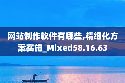 网站制作软件有哪些,精细化方案实施_Mixed58.16.63