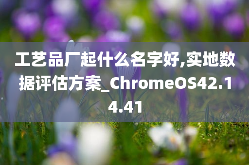 工艺品厂起什么名字好,实地数据评估方案_ChromeOS42.14.41