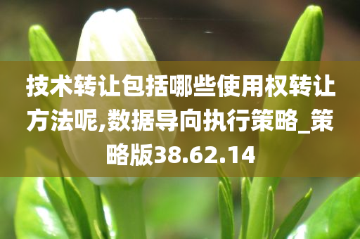 技术转让包括哪些使用权转让方法呢,数据导向执行策略_策略版38.62.14