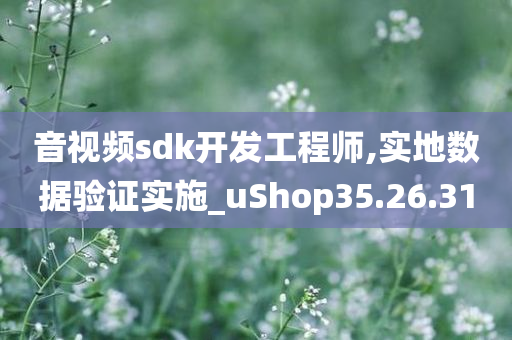 音视频sdk开发工程师,实地数据验证实施_uShop35.26.31