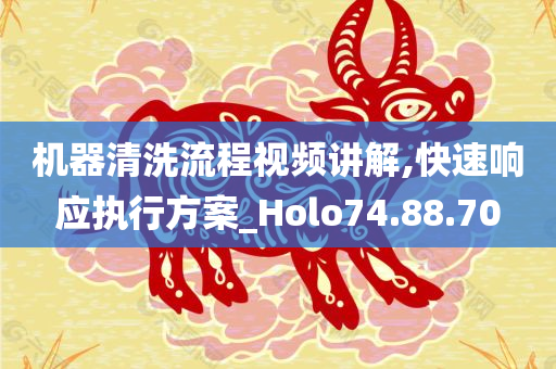 机器清洗流程视频讲解,快速响应执行方案_Holo74.88.70