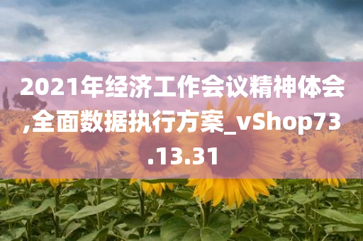 2021年经济工作会议精神体会,全面数据执行方案_vShop73.13.31