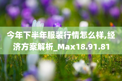 今年下半年服装行情怎么样,经济方案解析_Max18.91.81